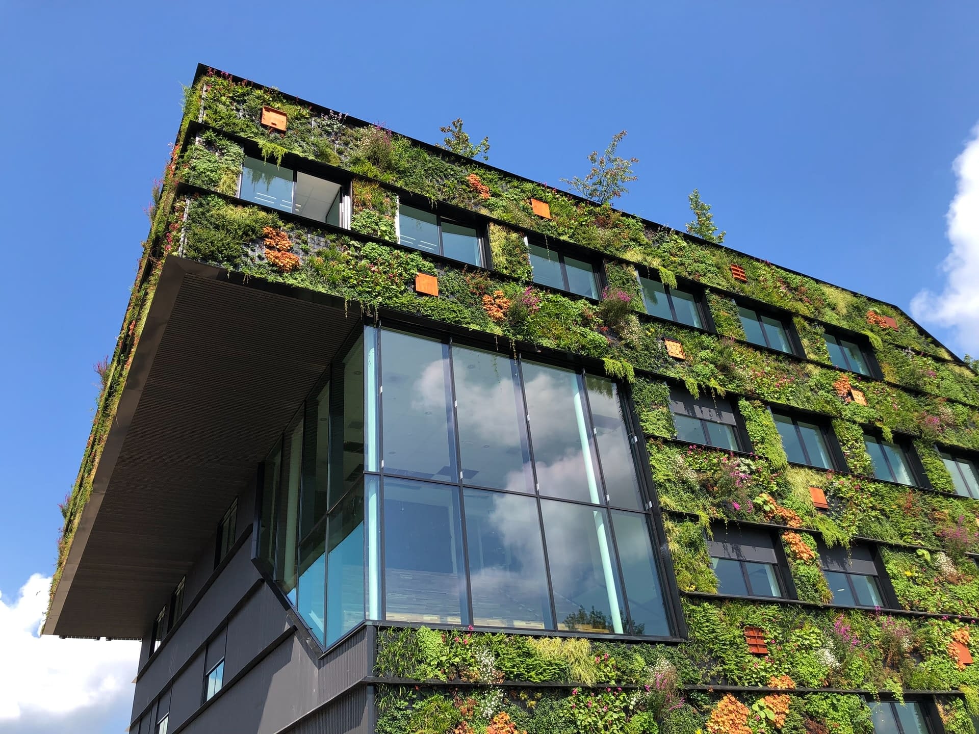 Sustainability in the construction industry: